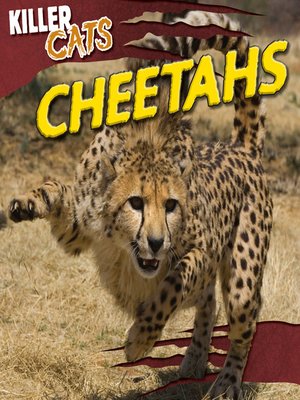 cover image of Cheetahs